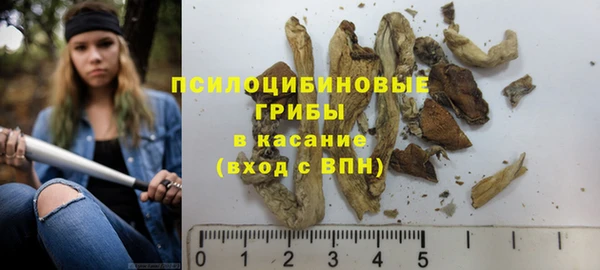 ГАЛЛЮЦИНОГЕННЫЕ ГРИБЫ Инта