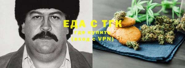 амф Ельня