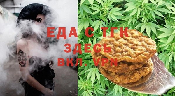 амф Ельня