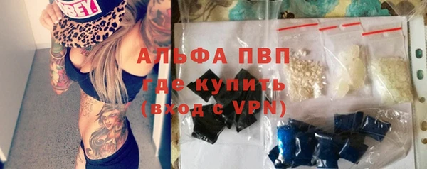 ГАЛЛЮЦИНОГЕННЫЕ ГРИБЫ Инта