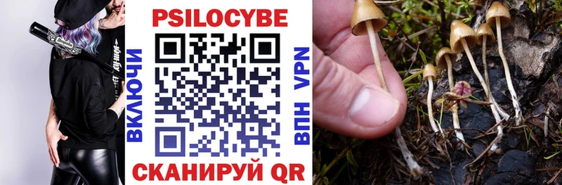 Псилоцибиновые грибы мицелий  Купить закладки  Малоярославец 